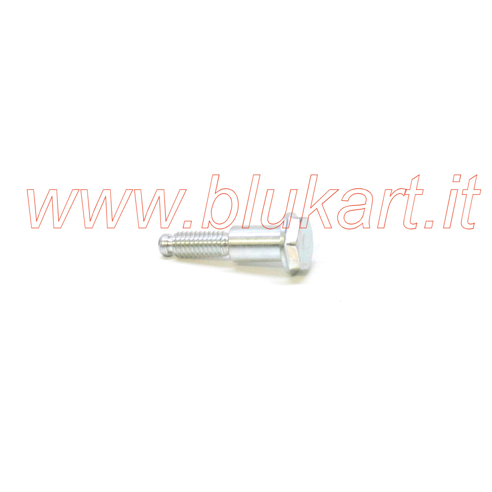 accessori kart – Pagina 3 – Blukart